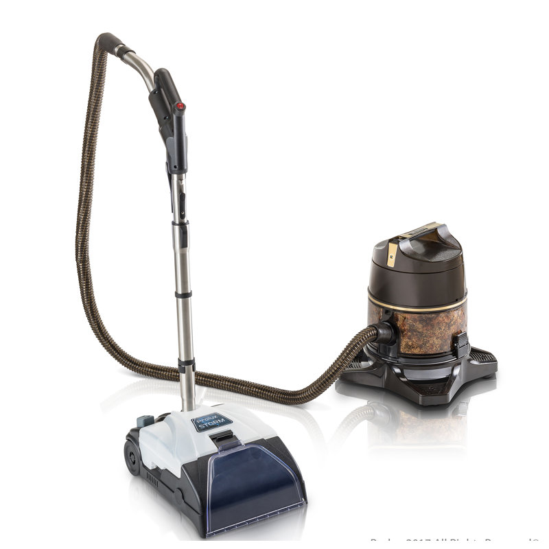 ProLux Storm Universal Carpet Shampoo System Carpet Deep Cleaner Wayfair